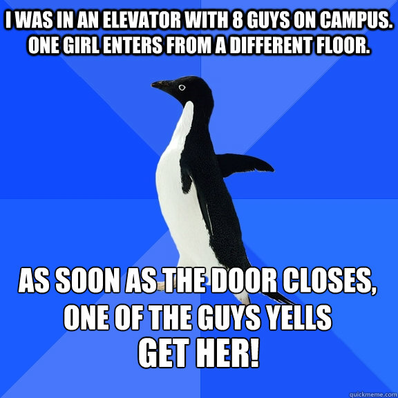 i was in an elevator with 8 guys on campus. one girl enters from a different floor. as soon as the door closes, one of the guys yells get her!   Socially Awkward Penguin