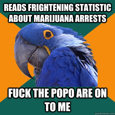 Reads frightening statistic about marijuana arrests FUCK THE POPO ARE ON TO ME  Paranoid Parrot