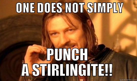        ONE DOES NOT SIMPLY       PUNCH A STIRLINGITE!! Boromir