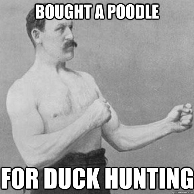 Bought a poodle for duck hunting  overly manly man