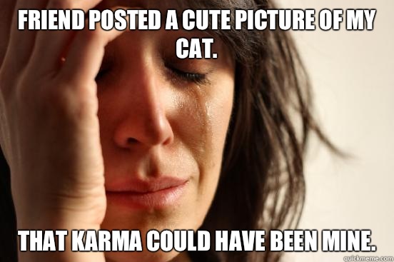 Friend posted a cute picture of my cat.  That karma could have been mine.   First World Problems