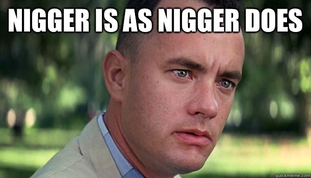 Nigger is as Nigger does   Offensive Forrest Gump