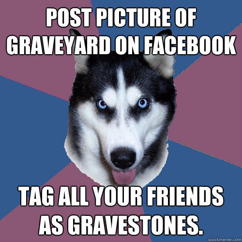 post picture of graveyard on facebook tag all your friends as gravestones. - post picture of graveyard on facebook tag all your friends as gravestones.  Creeper Canine