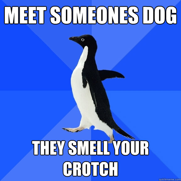 Meet someones dog they smell your crotch   Socially Awkward Penguin