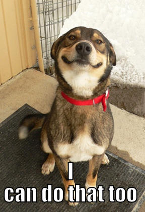  I CAN DO THAT TOO Good Dog Greg