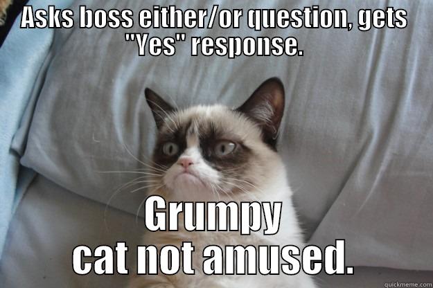 ASKS BOSS EITHER/OR QUESTION, GETS 