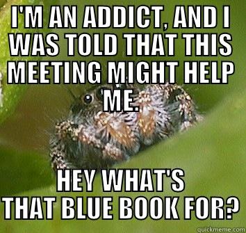 I'M AN ADDICT, AND I WAS TOLD THAT THIS MEETING MIGHT HELP ME. HEY WHAT'S THAT BLUE BOOK FOR? Misunderstood Spider