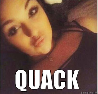 quack attack -  QUACK Misc