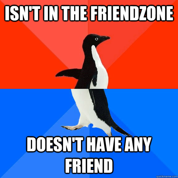 Isn't In the friendzone doesn't have any friend  Socially Awesome Awkward Penguin