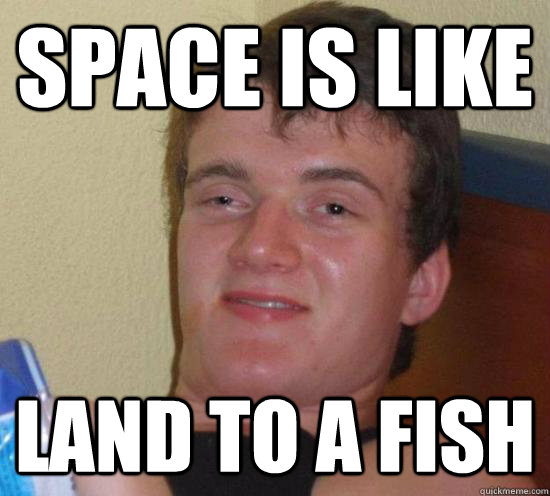 space is like land to a fish - space is like land to a fish  Misc