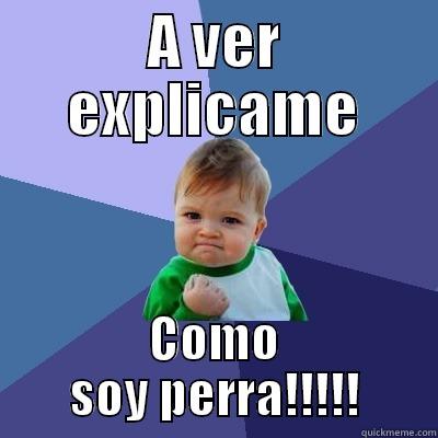 A VER EXPLICAME COMO SOY PERRA!!!!! Success Kid