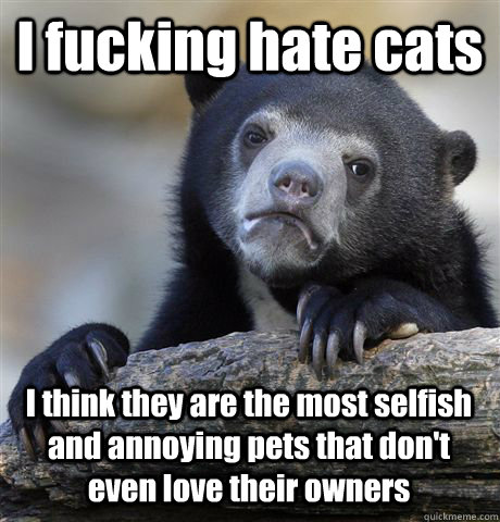 I fucking hate cats I think they are the most selfish and annoying pets that don't even love their owners - I fucking hate cats I think they are the most selfish and annoying pets that don't even love their owners  Confession Bear