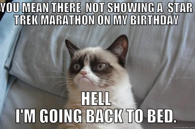 YOU MEAN THERE  NOT SHOWING A  STAR TREK MARATHON ON MY BIRTHDAY HELL I'M GOING BACK TO BED. Grumpy Cat