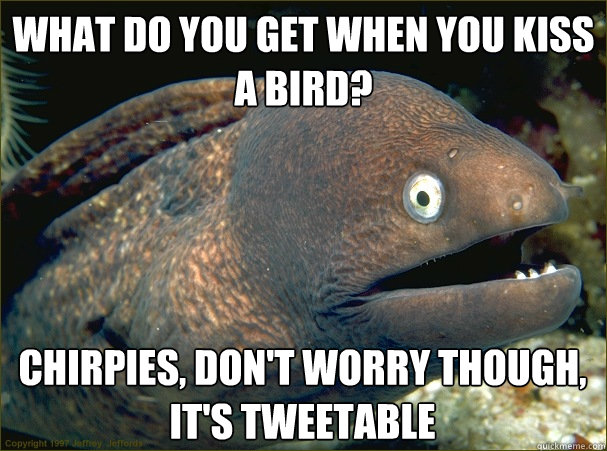 What do you get when you kiss a bird? chirpies, don't worry though, it's tweetable - What do you get when you kiss a bird? chirpies, don't worry though, it's tweetable  Bad Joke Eel