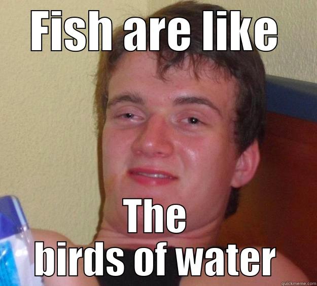 FISH ARE LIKE THE BIRDS OF WATER 10 Guy