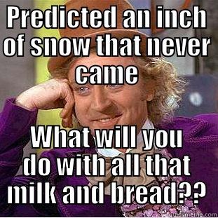 PREDICTED AN INCH OF SNOW THAT NEVER CAME WHAT WILL YOU DO WITH ALL THAT MILK AND BREAD?? Condescending Wonka