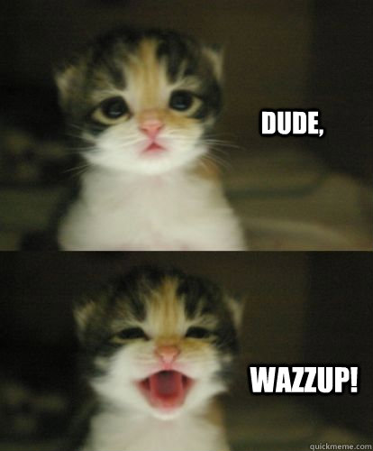 Dude, Wazzup!  