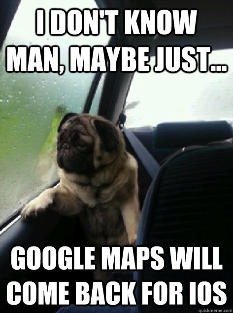 I don't know man, Maybe just... Google maps will come back for Ios  Introspective Pug