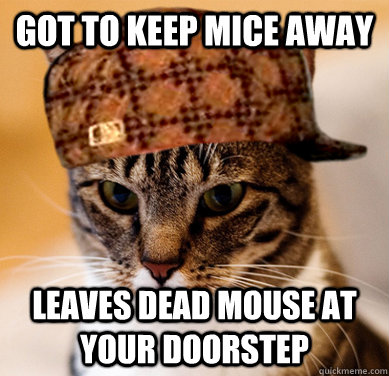 Got to keep mice away Leaves dead mouse at your doorstep  Scumbag Cat