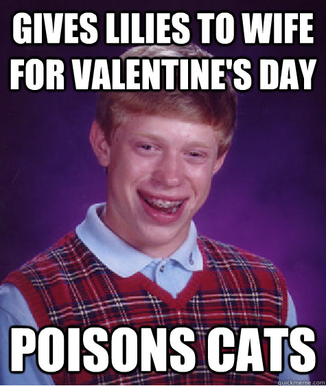 Gives lilies to wife for Valentine's Day poisons cats  Bad Luck Brian