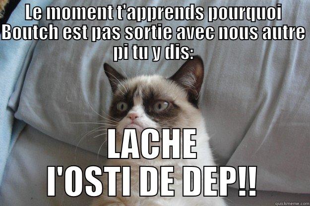 LE MOMENT T'APPRENDS POURQUOI BOUTCH EST PAS SORTIE AVEC NOUS AUTRE PI TU Y DIS: LACHE L'OSTI DE DEP!! Grumpy Cat