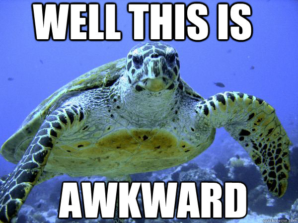 well this is awkward
 - well this is awkward
  Awkward Turtle