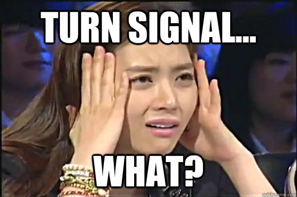 Turn signal... What? - Turn signal... What?  Confused Asian