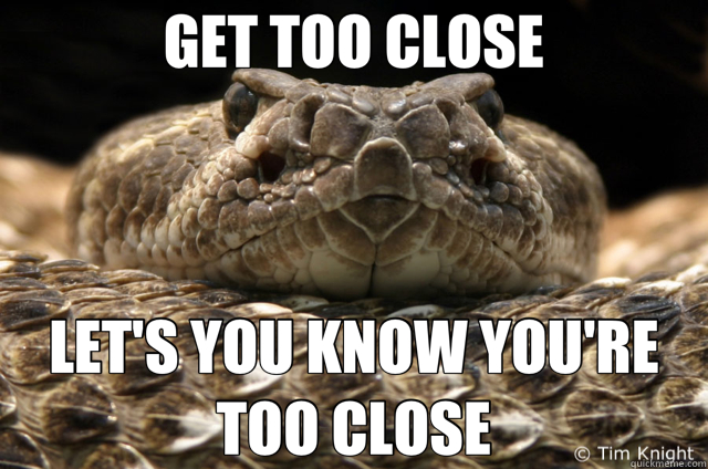 GET TOO CLOSE LET'S YOU KNOW YOU'RE TOO CLOSE  Good Guy Rattlesnake