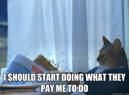  i should start doing what they pay me to do  Forever alone sophisticated cat