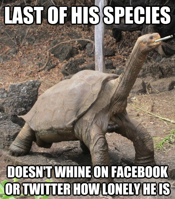 Last of his species doesn't whine on facebook or twitter how lonely he is - Last of his species doesn't whine on facebook or twitter how lonely he is  Good Guy George