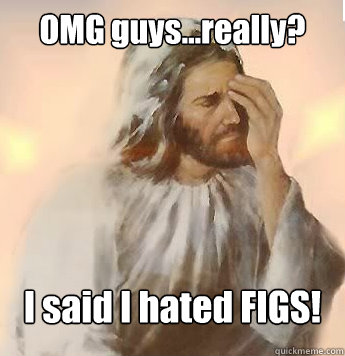 OMG guys...really? I said I hated FIGS! - OMG guys...really? I said I hated FIGS!  disappointed jesus