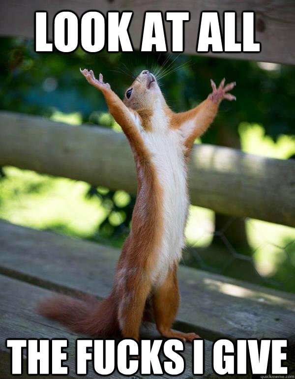 Look at all the fucks i give - Look at all the fucks i give  squirrel fuck