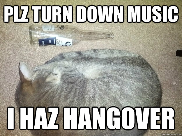Plz turn down music I haz hangover  hangover kitty