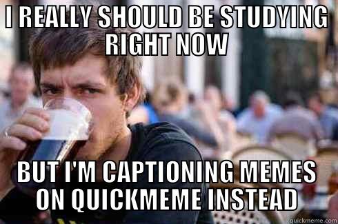 I should be studying right now... - I REALLY SHOULD BE STUDYING RIGHT NOW BUT I'M CAPTIONING MEMES ON QUICKMEME INSTEAD Lazy College Senior