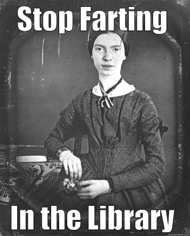 STOP FARTING IN THE LIBRARY Misc