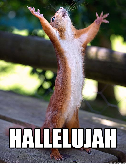 HALLELUJAH  - HALLELUJAH   Hallelujah Squirrel