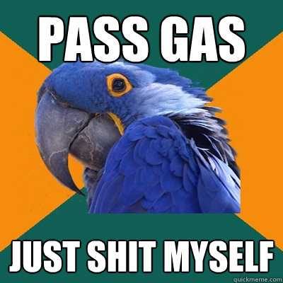 Pass gas just shit myself  Paranoid Parrot
