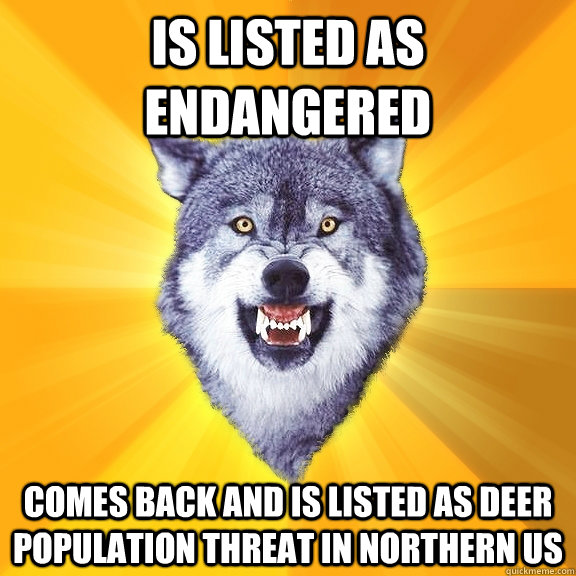 Is listed as endangered Comes back and is listed as deer population threat in northern US  Courage Wolf