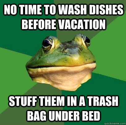 No time to wash dishes before vacation Stuff them in a trash bag under bed  Foul Bachelor Frog