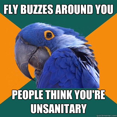 Fly buzzes around you People think you're unsanitary  Paranoid Parrot