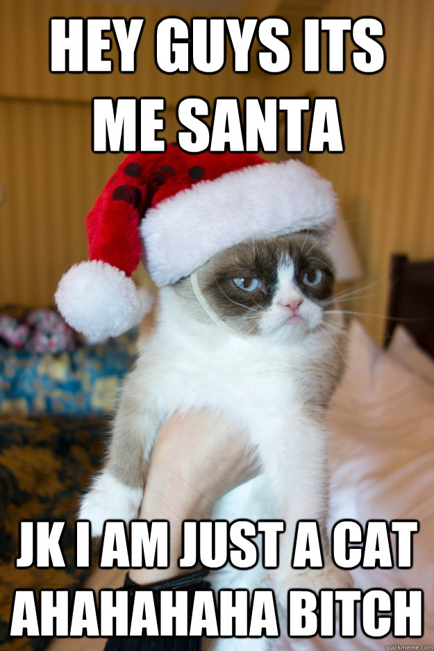 Hey guys its me santa jk i am just a cat ahahahaha bitch - Hey guys its me santa jk i am just a cat ahahahaha bitch  Grumpy xmas