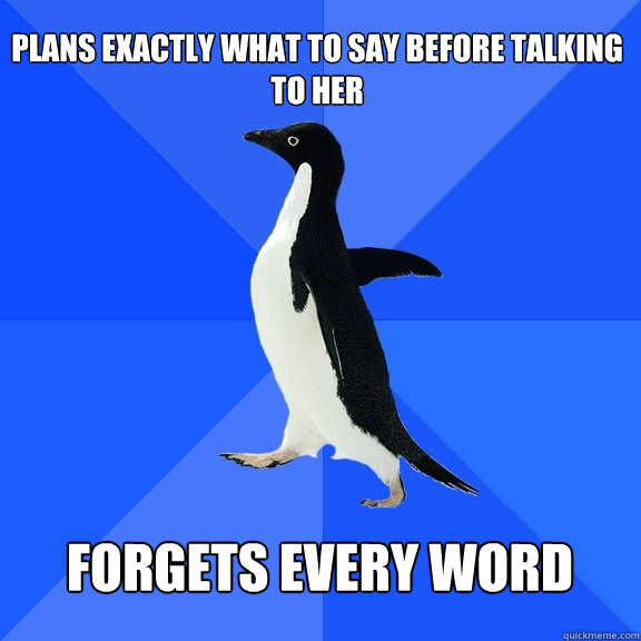 Plans Exactly what to say before talking to her  forgets every word   Socially Awkward Penguin