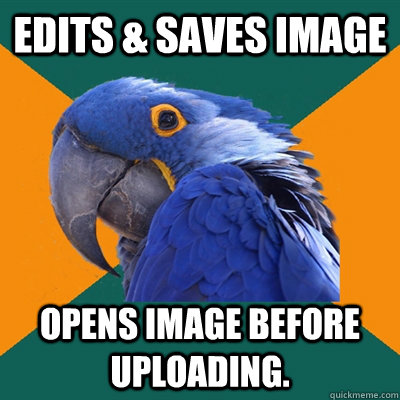 Edits & saves image Opens image before uploading.  Paranoid Parrot