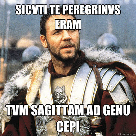 Sicvti te peregrinvs eram TVM SAGITTAM AD GENU CEPI  FORTITUDO ET HONOR