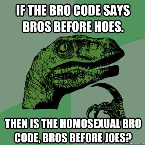 If the bro code says bros before hoes.  Then is the homosexual bro code, bros before joes? - If the bro code says bros before hoes.  Then is the homosexual bro code, bros before joes?  Philosoraptor
