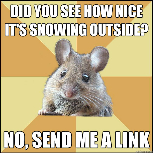 did you see how nice it's snowing outside? no, send me a link  