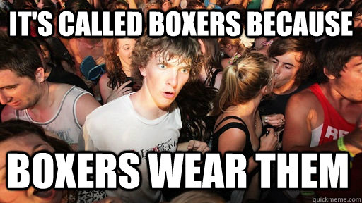 it's called boxers because boxers wear them  Sudden Clarity Clarence
