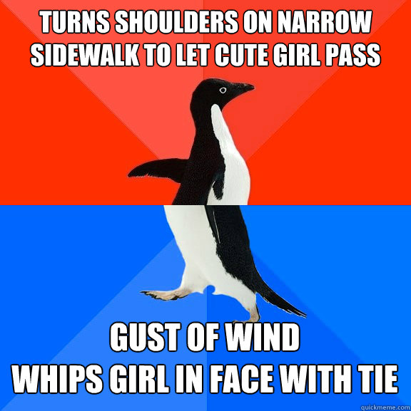 Turns shoulders on narrow sidewalk to let cute girl pass Gust of wind 
whips girl in face with tie  Socially Awesome Awkward Penguin