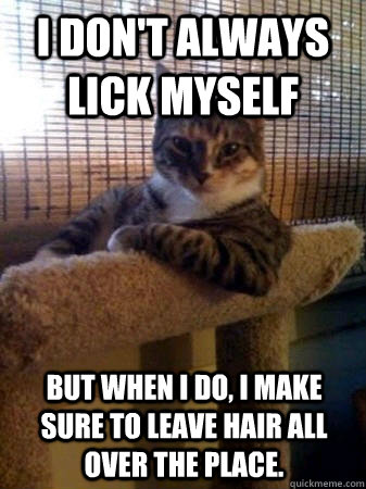 I don't always lick myself but when I do, I make sure to leave hair all over the place.  The Most Interesting Cat in the World