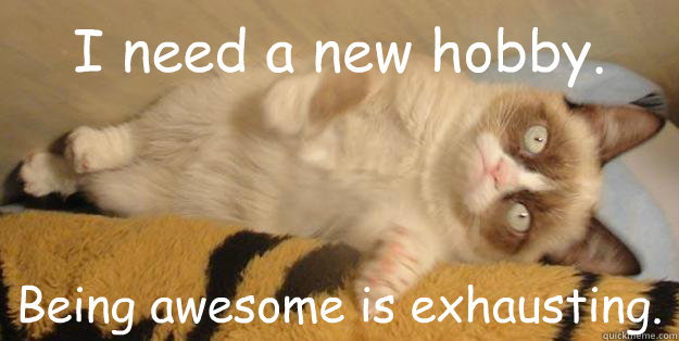 I need a new hobby. Being awesome is exhausting.  